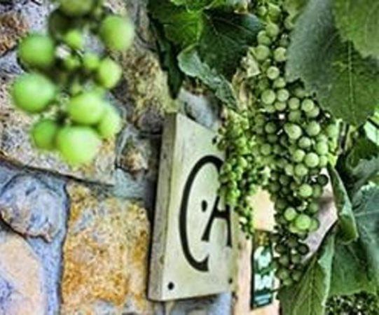 Casa Rural Los Campos 科里奥 外观 照片