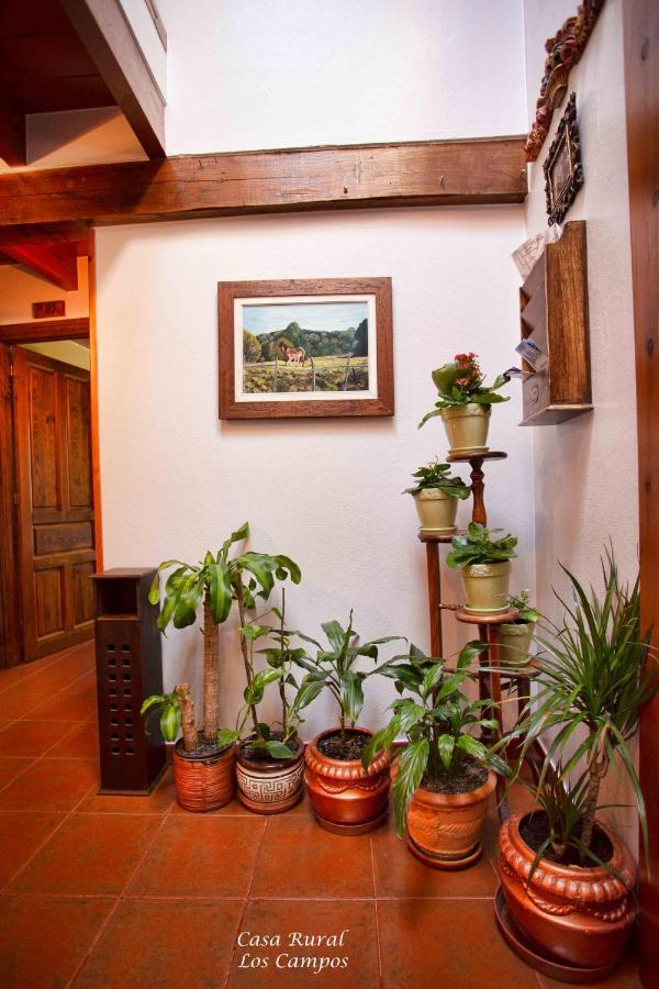 Casa Rural Los Campos 科里奥 外观 照片